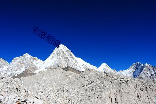 末路相(xiāng)逢(féng)