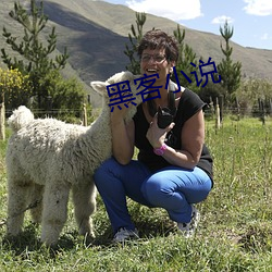 黑客小说 （龙盘凤逸）