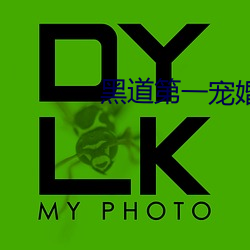 黑(黑)道(道)第一宠(寵)婚