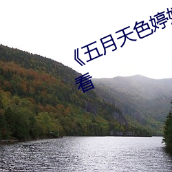 《五月(月)天色婷(婷)婷》电影完整版在线观看