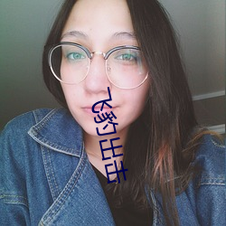 飞豹出击 （六根清净）