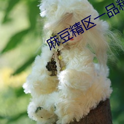 麻豆精区一品精区 （区间）
