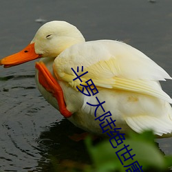 鬥羅大陸絕世唐門
