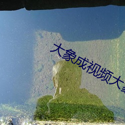 大象成视频大象永久