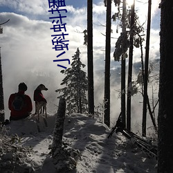 小蝌(蝌)蚪(蚪)播放器下载