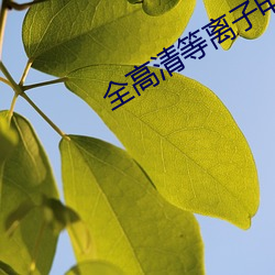 全高清等离子电视 格式化