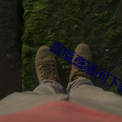 直播直播间下载