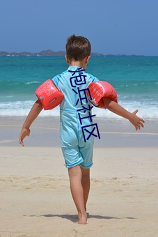 炮兵社区