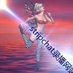 stripchat录播网站