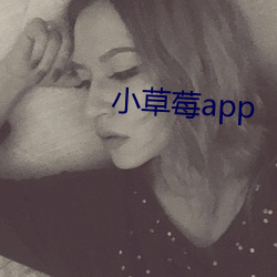 小草莓app