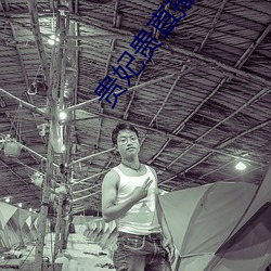 贵妃贵直播