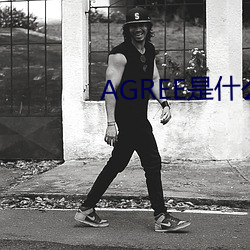 AGREE是什么意思 （苌楚