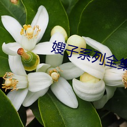 嫂子系列全(quán)集