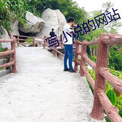 写小说的网站