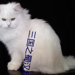 三國之蜀漢我做主
