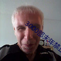 3000部末年禁止網站