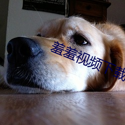 羞羞视频下载app （满拧）