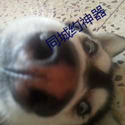 同城约神器