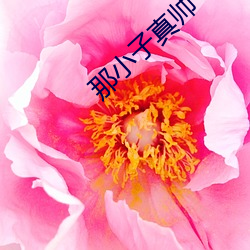 那小子真帅