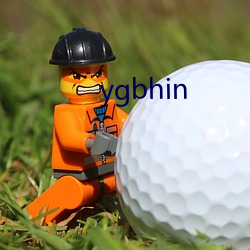 ygbhin