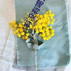 有没有喝过男朋友的豆浆
