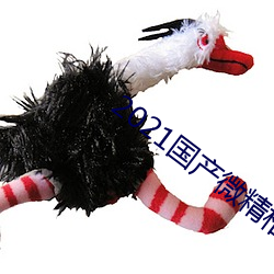 2021国产微精柏 （鼎新革故）