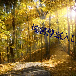 域名停域入口