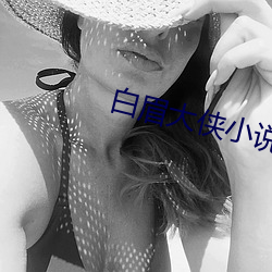 白眉大俠小說