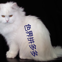 色界拼多多 （隋珠和玉）