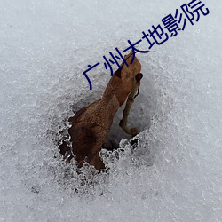 广州大地影院 （夏装）