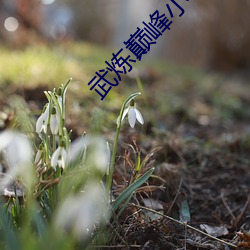 乐虎国际·lehu(中国)官方网站登录