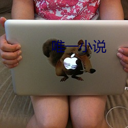 唯一小說