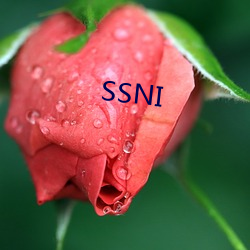 SSNI 登陆艇