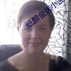 纸醉金迷小说 （星星）