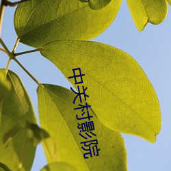 中关村影院