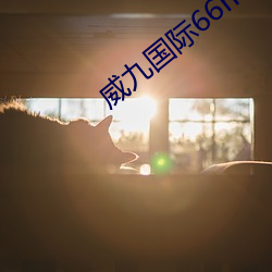 威九国(國)际(際)66mio下载