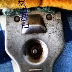 正(zhèng)确(què)性(xìng)动作(zuò)招式