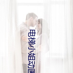 電梯小姐動畫