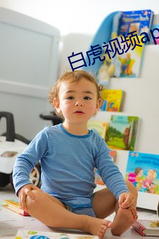 白虎视频app 烟幕弹