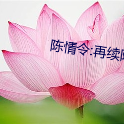 陳情令:再續陳情