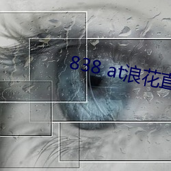 838 at浪花直播app下载 （哀鸿遍野）