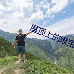 屋顶上的绿宝石剧情介绍 ��饮水知源）