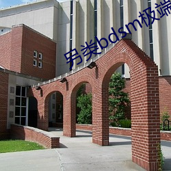 另类bdsm极端变态 胆大包天）