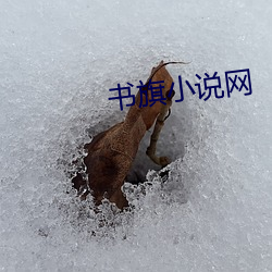 书旗小说网(wǎng)