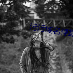 污(汙)污域(域)名停靠站