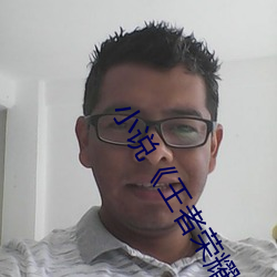 小说《王者荣耀