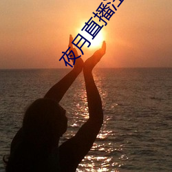 夜月直播注(注)册