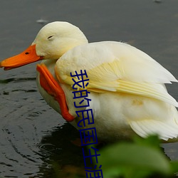我的(的)民(民)国(國)生涯
