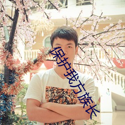 保护我方族长