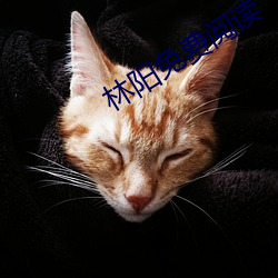 林阳(陽)免费(費)阅读(讀)